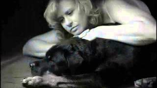 Bonnie Raitt - (Goin&#39;) Wild for You Baby