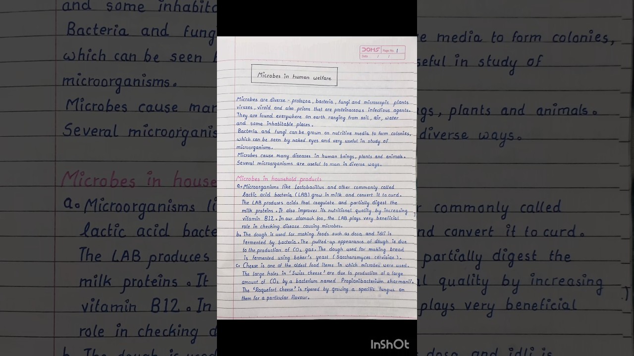 Microbes in Human Welfare Notes | Class 12 | NEET | CBSE | HSC #neet #biology #class12notes
