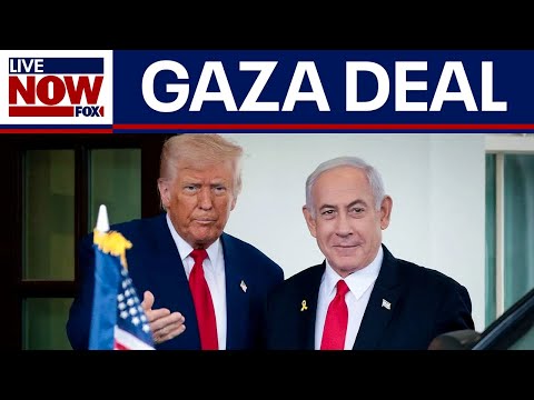 Video | "That's impossible" - expert on Hamas-Israel peace plans