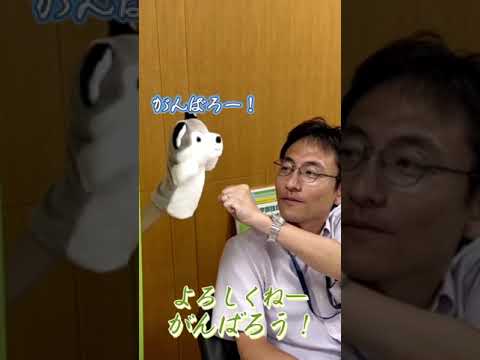 法学科 法学部のテヅオくん登場！！