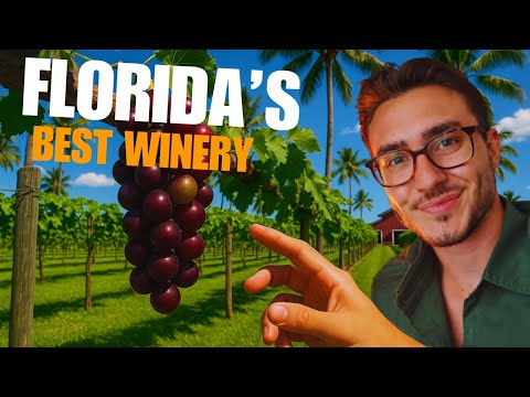 Summer Crush Winery, The Art of Wine in America 🇺🇸