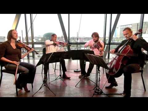 Vrije geluiden - Matangi Quartet ::: Oene van Geel - Sivuca