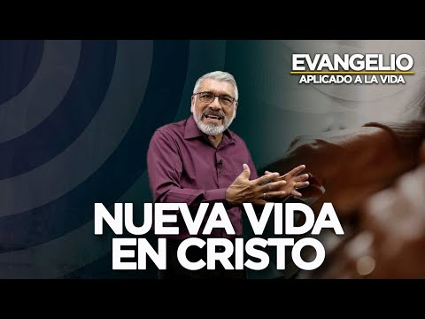 NUEVA VIDA EN CRISTO | Evangelio Aplicado (San Marcos 7 , 31 - 37 ) - SALVADOR GOMEZ