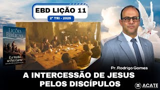 EBD Lição 11 (Adultos) - Intercessão de Jesus pelos Discípulos - 2º Tri 2025