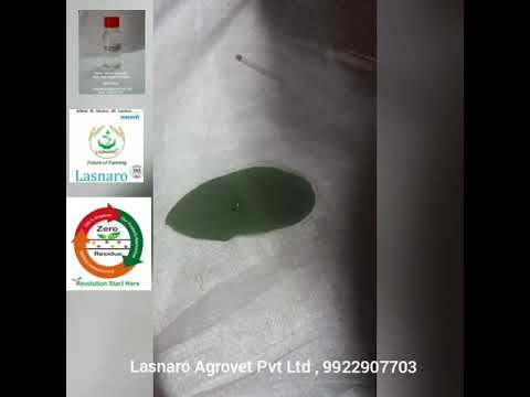 Silicon Spreader manufacturer