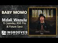 Baby Momo - Mdali Wezulu ft Ceenday, RSD Pro & Future Saxo | Official Audio