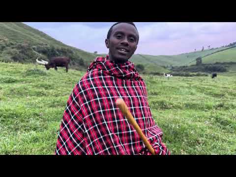 Icyivugo cya MUSANGO WO MU BIGOGWE #visitbigogwe #rwanda #culture  #KWIVUGA #AFRICA #traditional