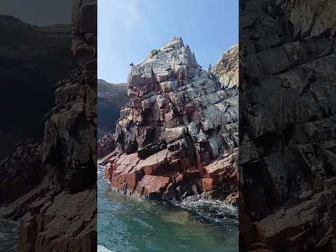 Ballestas — lachtani a kolonie ptáků