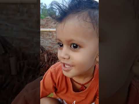 nirvi say animals name