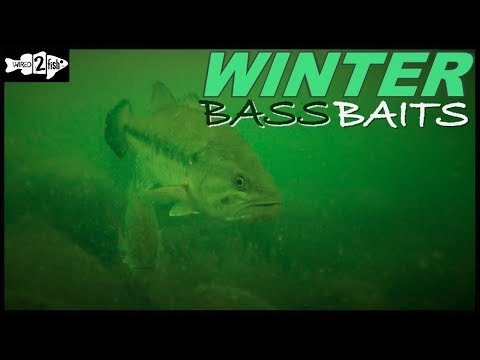 6 Proven Winter Bass Baits for Most Situations