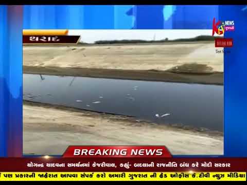 THARADNI NARMADA NEHERMA ASANKHYA MACHHALIONA MOT THI ARERATI MACHI