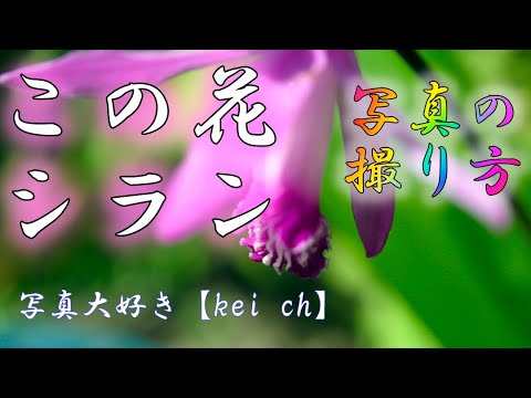 非常に引火しやすい