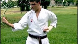 Fifteen-year-old boy tackles armed robbers