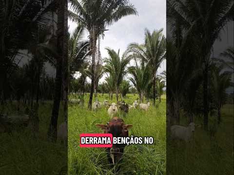 LUGAR LINDO EM SANTA RITA MA