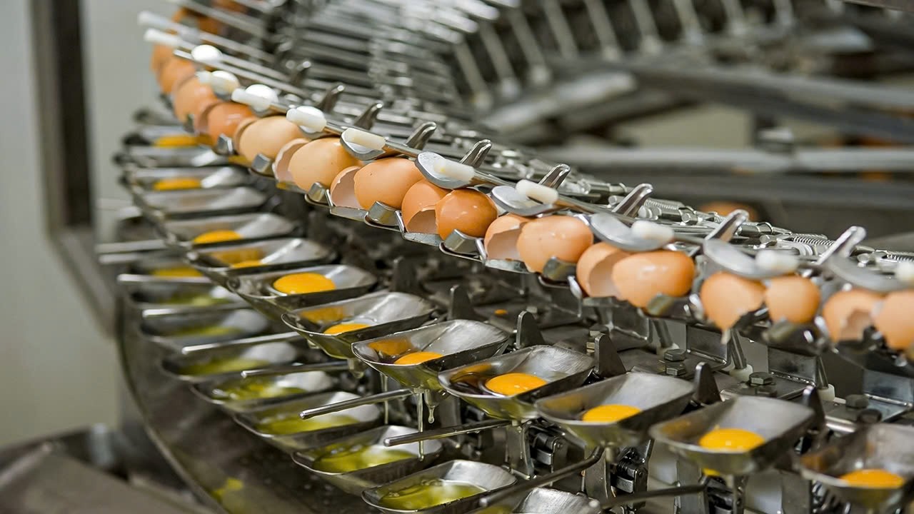 Most Amazing and Satisfying Machines in Action