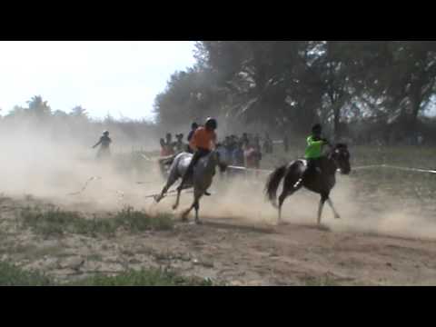 Akhir Kuda Padi A - 26 April 2013