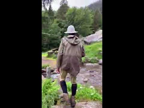 Ferdy - l'essenziale