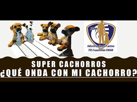 Super Cachorros - FESC Curso de Etología Aplicada al Adiestramiento Canino