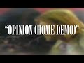 Kurt Cobain - Opinion (Home Demo)(No Stink version)