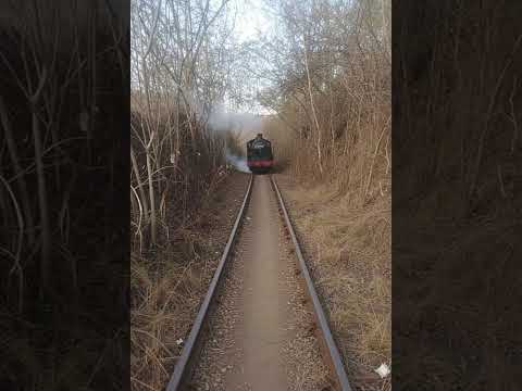 Trem passando por corte sentido Cacimbas e Borborema PB, reprodução por IA.