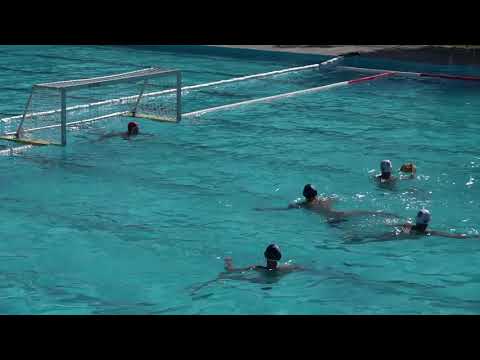 VK NBG Vukovi- VK Crvena Zvezda 12:12