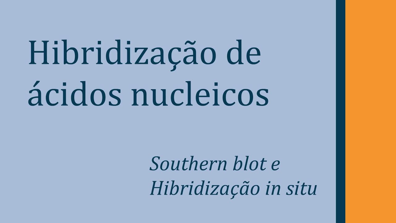 Hibridização de Ácidos Nucleicos