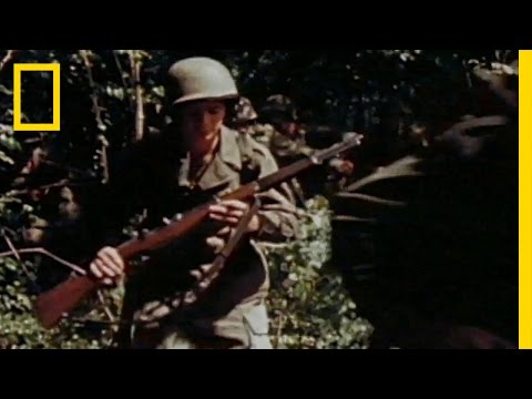 Inside World War II