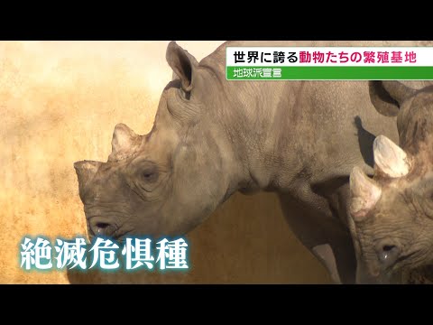 園芸 あまり知られていない野生の果樹