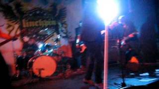 Imperial Vipers Kick A Hole