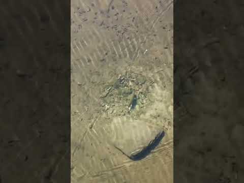 020time to relax  #fishing #viral #fishng #lake #mermaiding #catching #bassfishing #fish