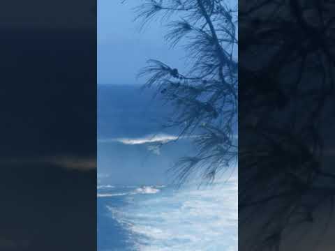 Big wave surfing at Jaws, Maui (Jan 16, 2021)