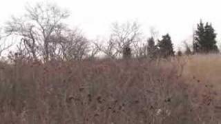 Sandy Cove by Jimmy Webb