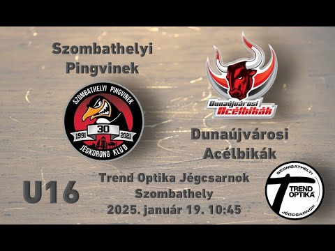 U16  Szombathelyi Pingvinek - Dunaújvárosi Acélbikák