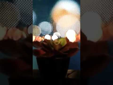 Poor Boys of Rock - Love