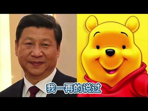 习近平是懦夫，谈懦弱与勇气｜007节目【精选】