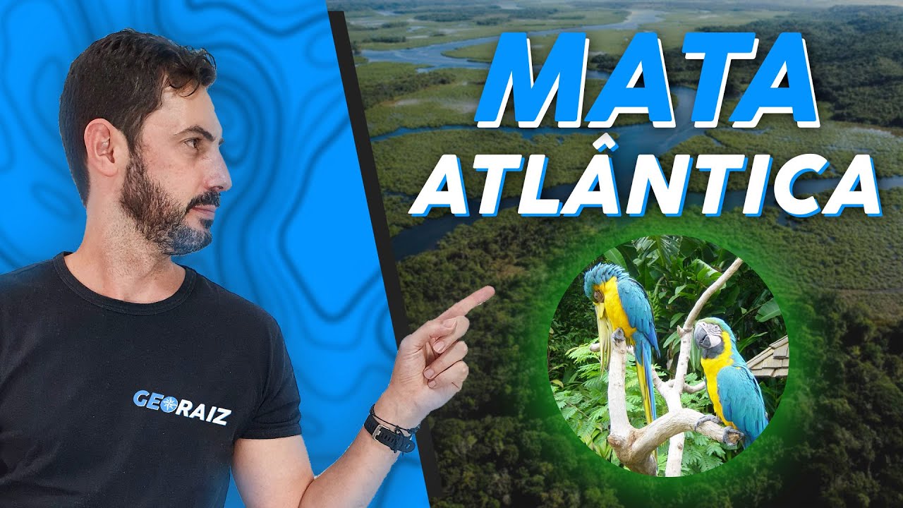 Biomas do Brasil: MATA ATLÂNTICA - Características e Desmatamento
