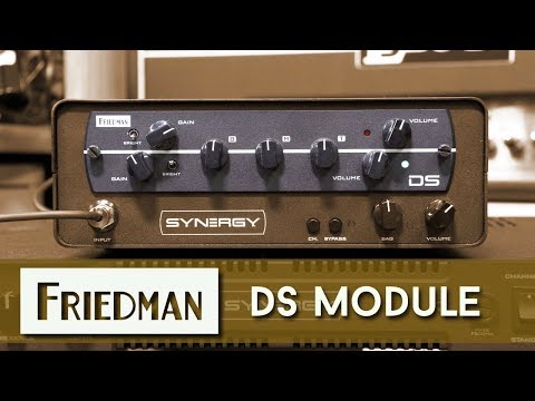Synergy Friedman DS Preamp Module image 4