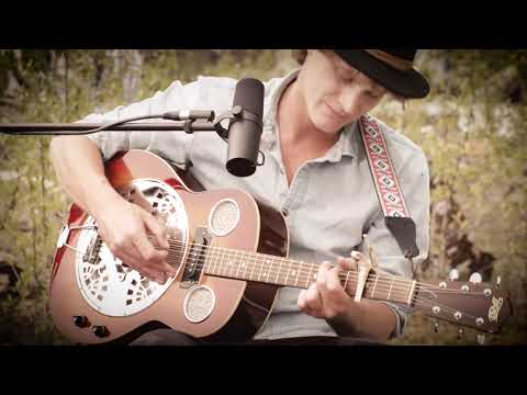 Mister Bird ~ The Blue Muse