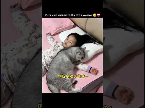 Pure cat love with Its little owner 🥹❤️‍🩹