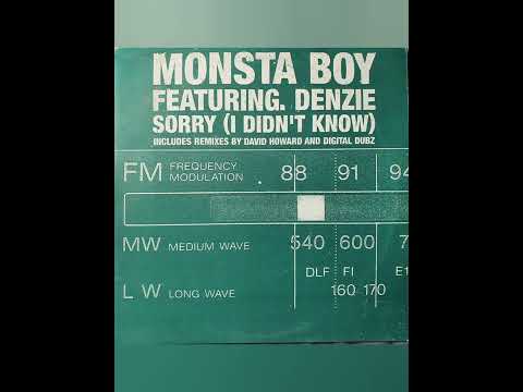 Monsta Boy feat Denzie - Sorry (Original mix)