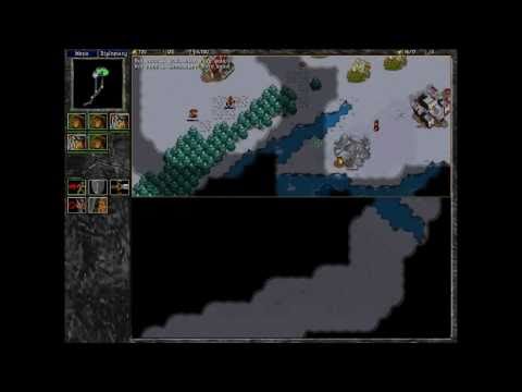 Warcraft 2 - DSH(Humans-Alliance) vs Rikku(Orc-Horde)