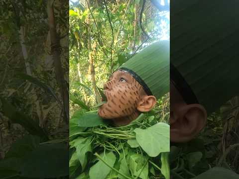 \Bird calls\ #entertainment #shorts #birdsounds #nature #birdcalls #forestbirds #birds