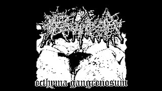PROCTALGIA - Ecthyma Gangrenosum - Full Tape