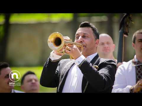 Cristi Tractor si Orchestra Lautarii -  Bătuta din copilărie (Official Video 2019)