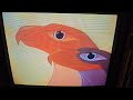 Opening To The Lion King 1995 VHS