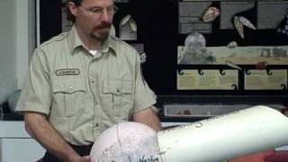 Creative Conservation Management on Midway