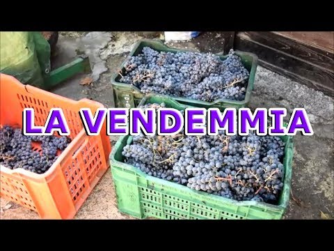 Mal di testa e collo dietro linfluenza Dito ispessimento giunto