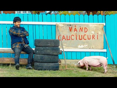 Porcul și Cauciucurile de Iarnă #3chestii