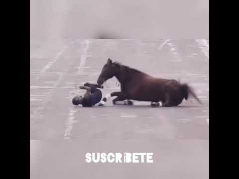 Jinete sufre accidente realizado acrobacia durante desfile