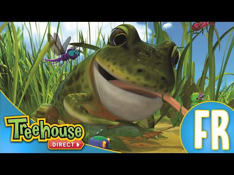 Miss Spider: La grenouille secrète - Ep.24